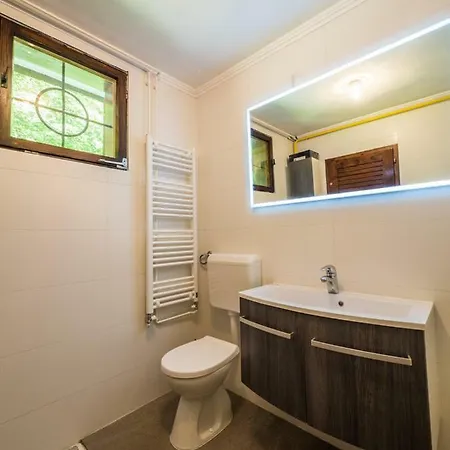 Pocitniska Hisa Radovna