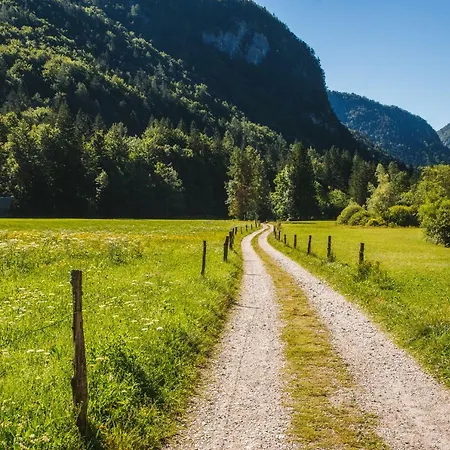 Počitniška hiša Pocitniska Hisa Radovna Zgornja Radovna