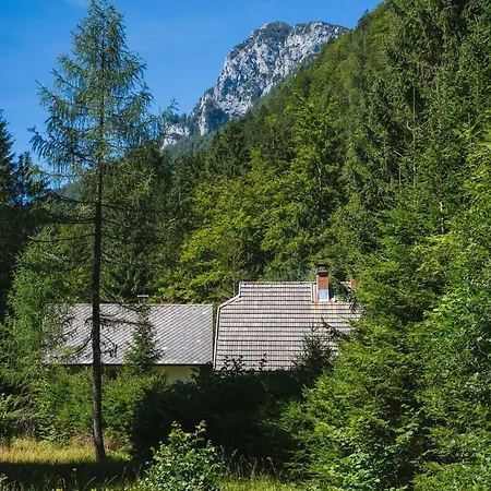 Tatil Evi Pocitniska Hisa Radovna *