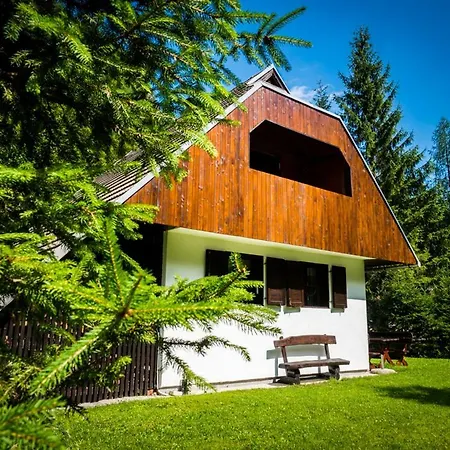 Pocitniska Hisa Radovna Tatil Evi