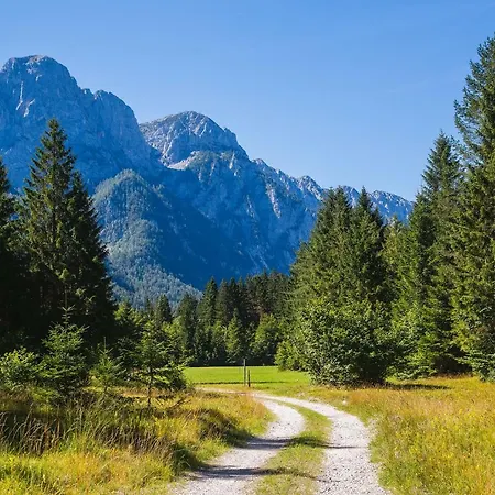 Pocitniska Hisa Radovna