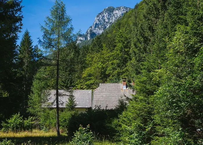 Feriehus Pocitniska Hisa Radovna *