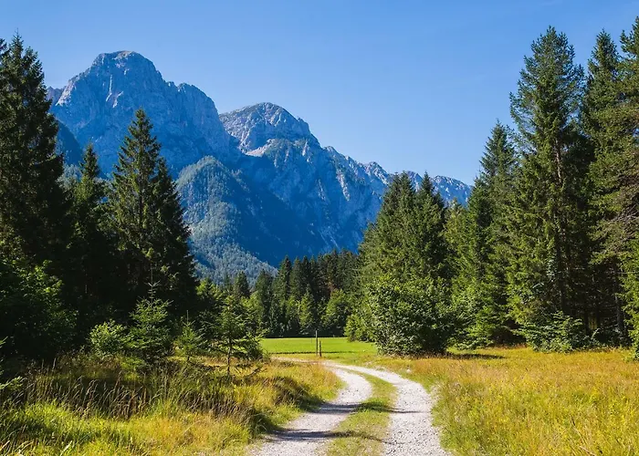 Pocitniska Hisa Radovna